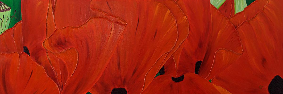 Champ de coquelicots f2113