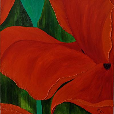 Coquelicot g f2130 1