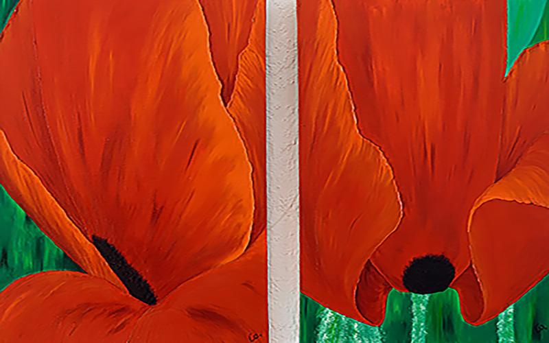 Coquelicots f201 f202