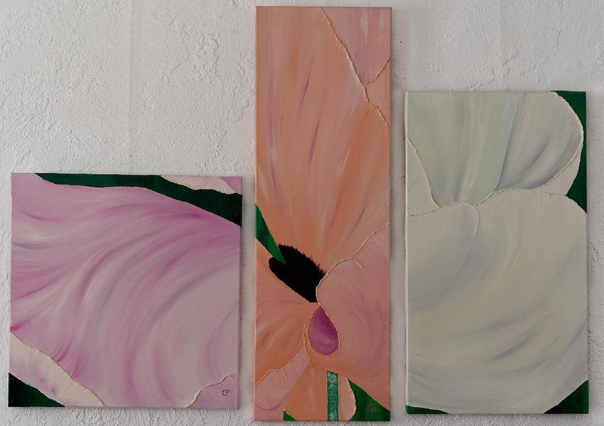 Couleurs des pavots f 206 f207 f208