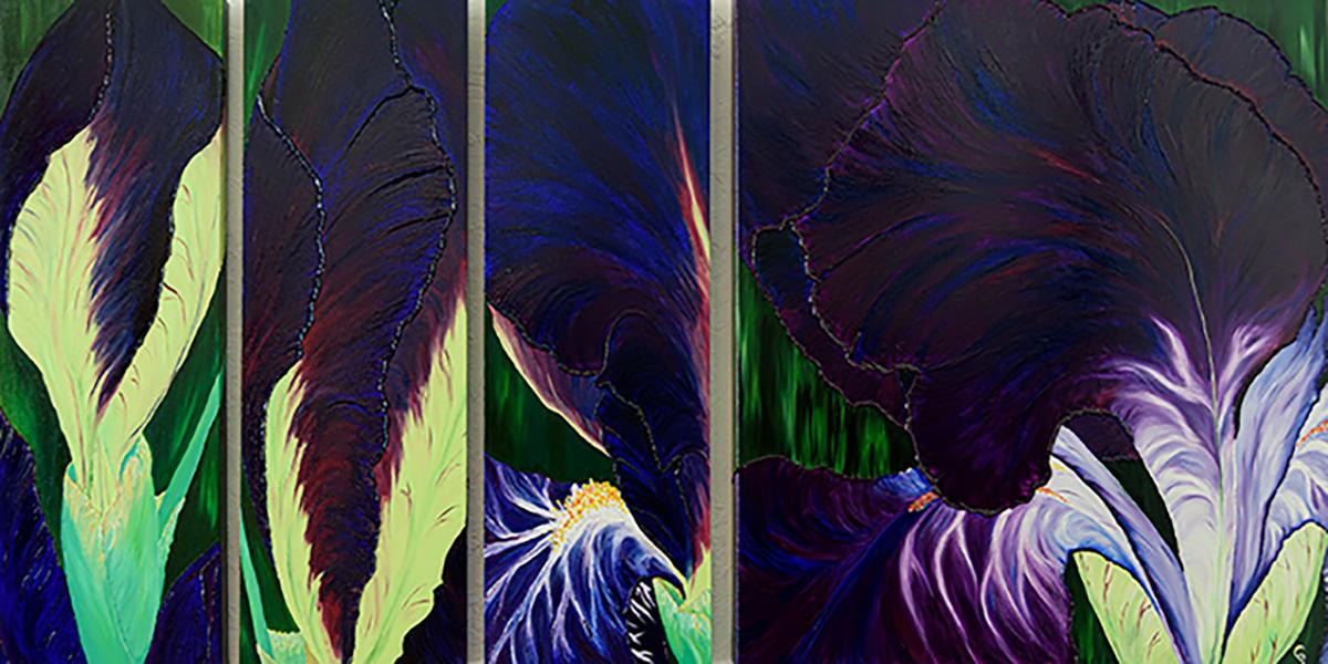 Evolution f221 a f 225