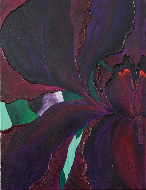 Iris fantaisy s 193