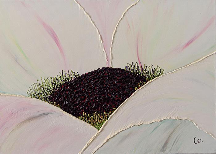 Petite anemone f 2127