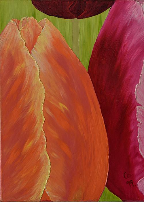 Petites tulipes s198