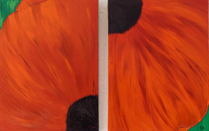 Sens dessus dessous f203 f204