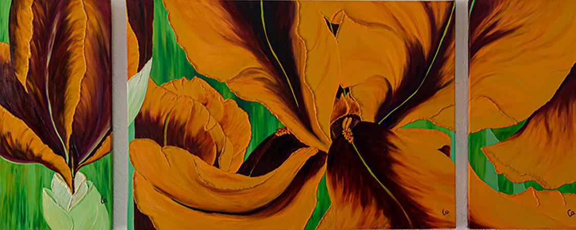 Triptique orange f211 f212 f213 modifier 1